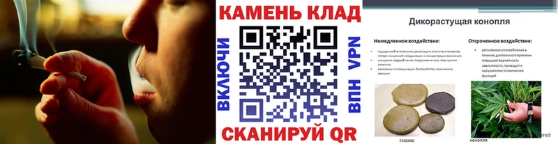 Купить где  Черноголовка  ГАШИШ Premium 