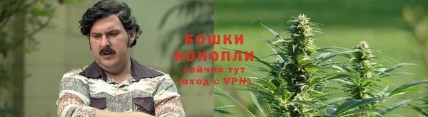 наркотики Белокуриха