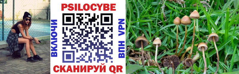 Галлюциногенные грибы MAGIC MUSHROOMS  Купить закладки  Черноголовка 